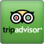 Review Us on Tripadvisor